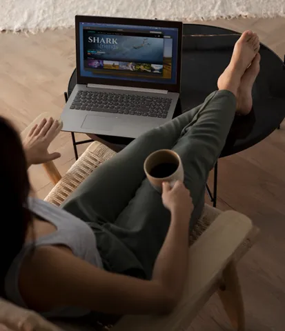 Viewer browsing video on a laptop